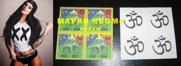 мет Алексин